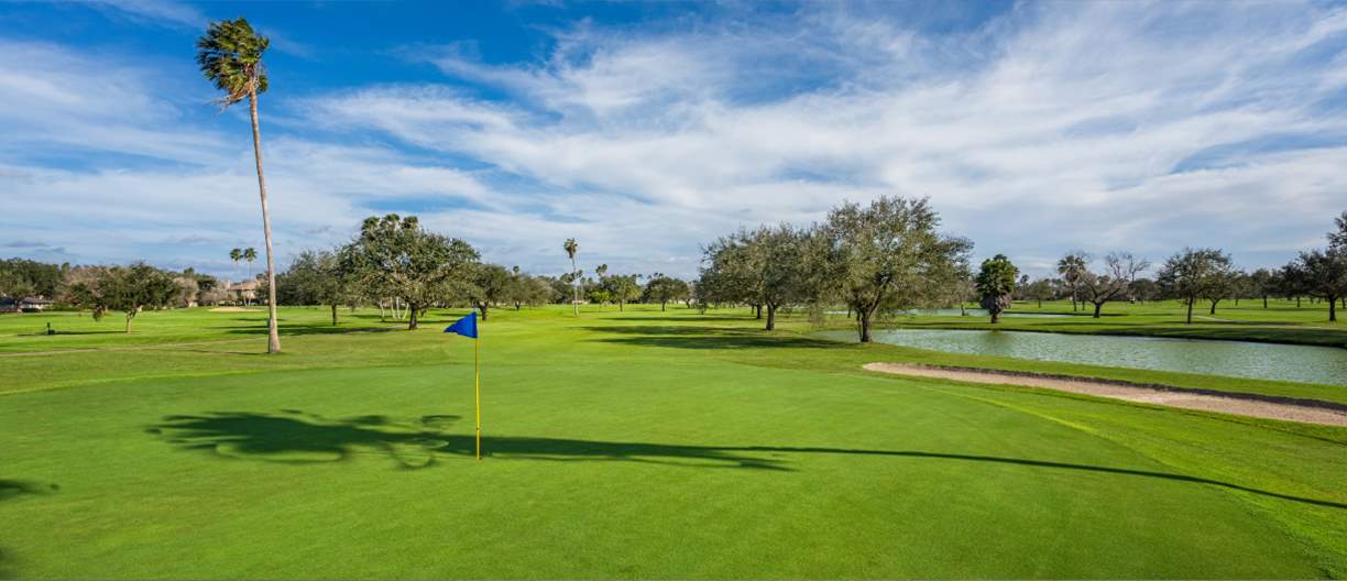 sunny view of the golf tee